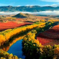 Pillole di vino: viaggio nelle antiche tradizioni della Spagna