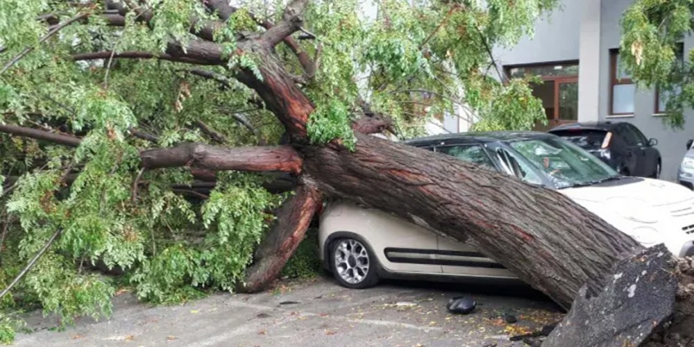 Apocalisse a Palma Campania: una tempesta d'acqua e vento abbatte alberi in città