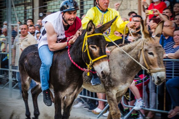 XIX edizione del Palio del Casale. La formula uno di corsa su asini