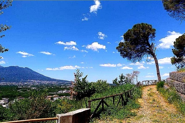 BOSCO CROCELLE ATTENDE I FONDI PER LA RIFORESTAZIONE E TUTELA DELLA BIODIVERSITÀ