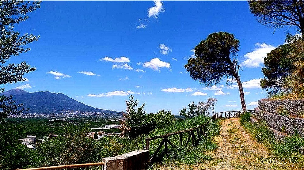 BOSCO CROCELLE ATTENDE I FONDI PER LA RIFORESTAZIONE E TUTELA DELLA BIODIVERSITÀ