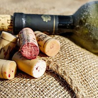 Pillole di vino: l'ascesa del Cile