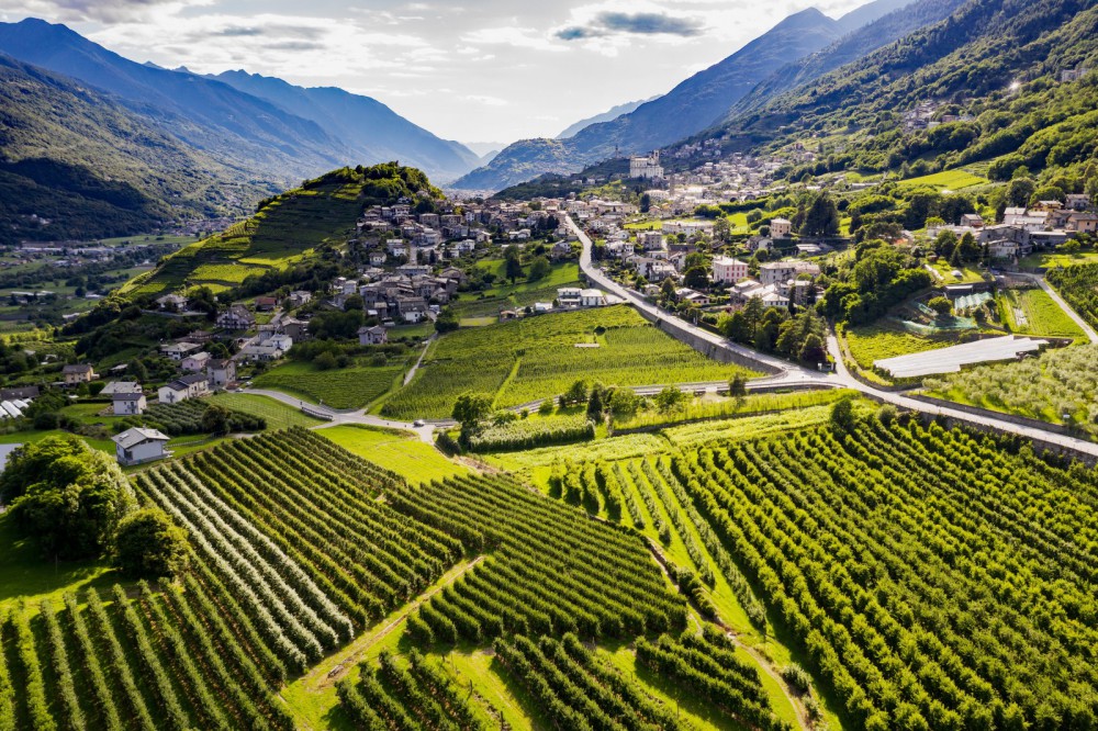 Pillole di vino: la strada della Valtellina