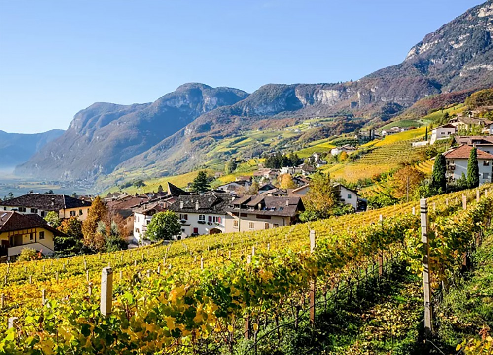 Pillole di vino: la strada del Trentino