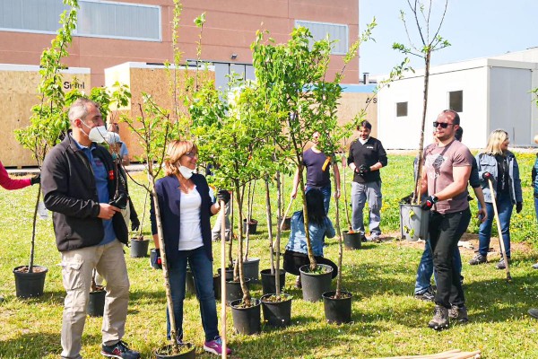 Loredana Casoria parla di KilometroVerdaParma: piantati 70mila alberi attraverso la creazione di spazi verdi per una nuova sensibilità ambientale