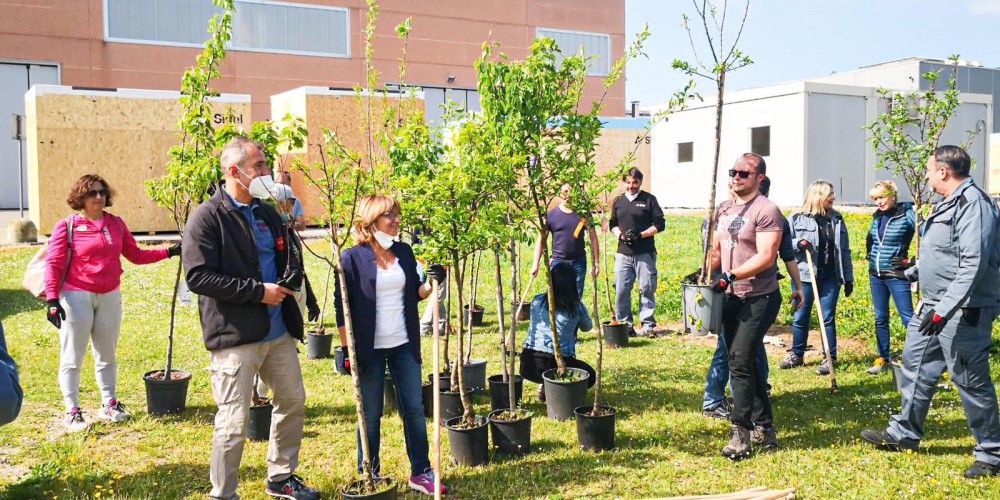 Loredana Casoria parla di KilometroVerdaParma: piantati 70mila alberi attraverso la creazione di spazi verdi per una nuova sensibilità ambientale