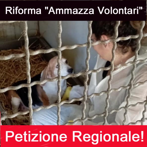 Riforma dell'Anagrafe Canina in Campania: insorge il Partito Animalista