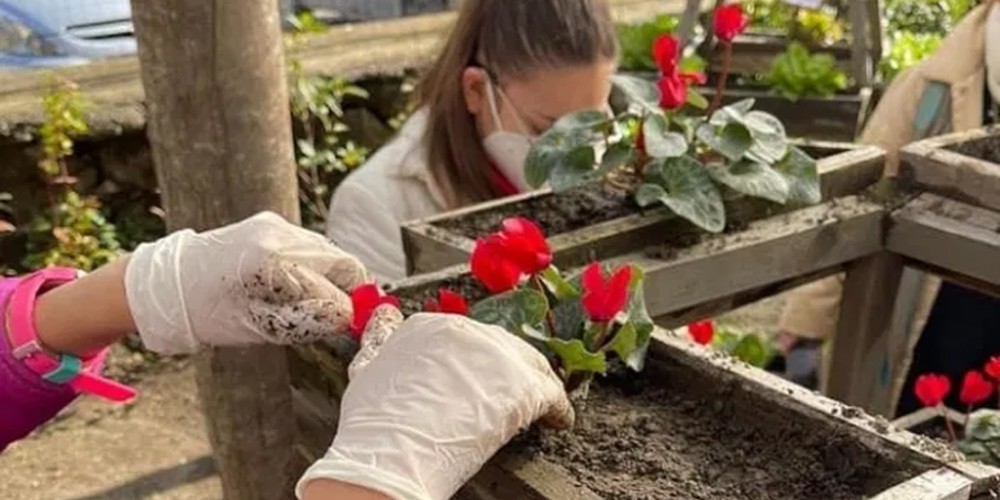 Palma Campania, tempo di raccolta all'orto sociale: sinergia tra Naturae e l'Onda Perfetta