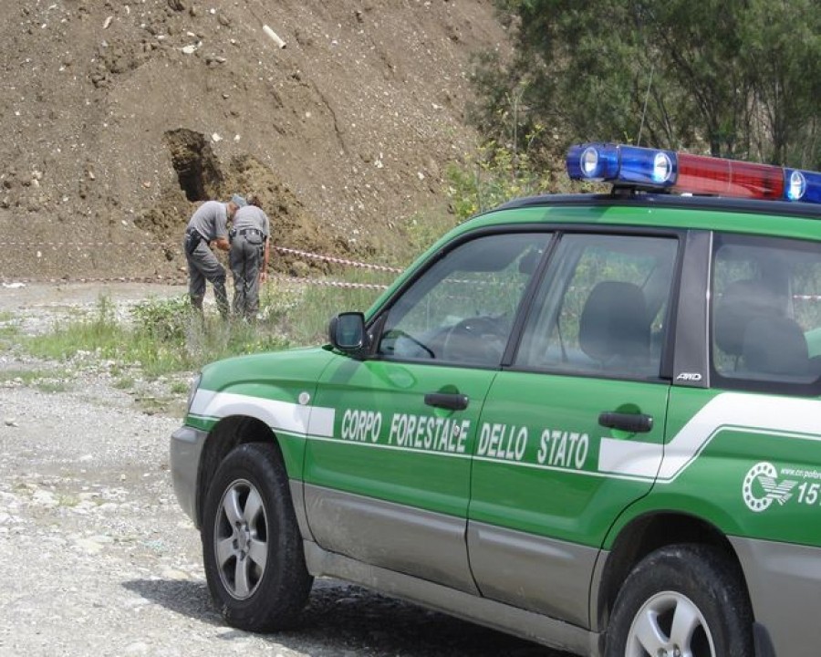 Carabinieri Forestali, bilancio di un anno di attività sul territorio