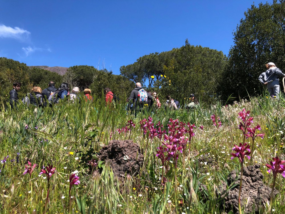 Pasquetta 2024: eco-escursione sul Vesuvio adatta a tutti