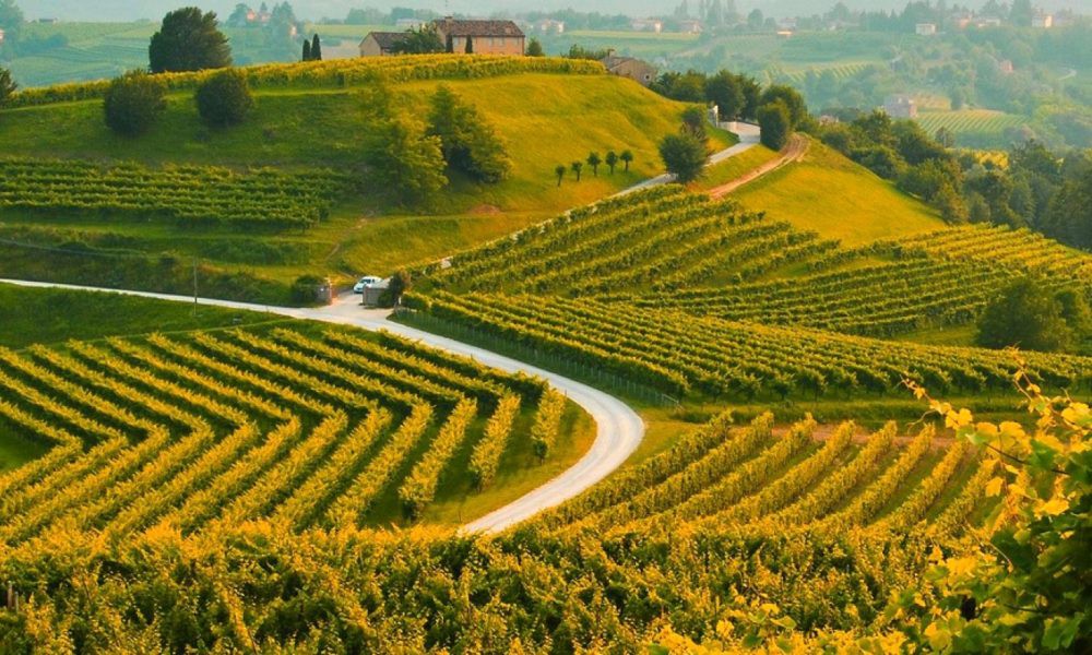 Pillole di vino: la strada del prosecco di Valdobbiadene e Conegliano DOCG