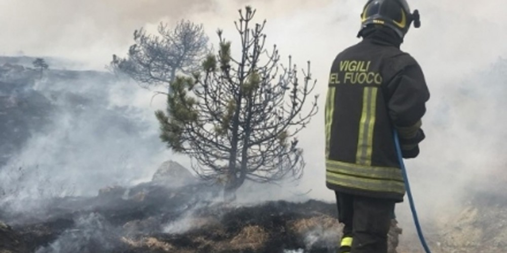 Incendio in collina: pompieri al lavoro tutta la notte, fiamme domate