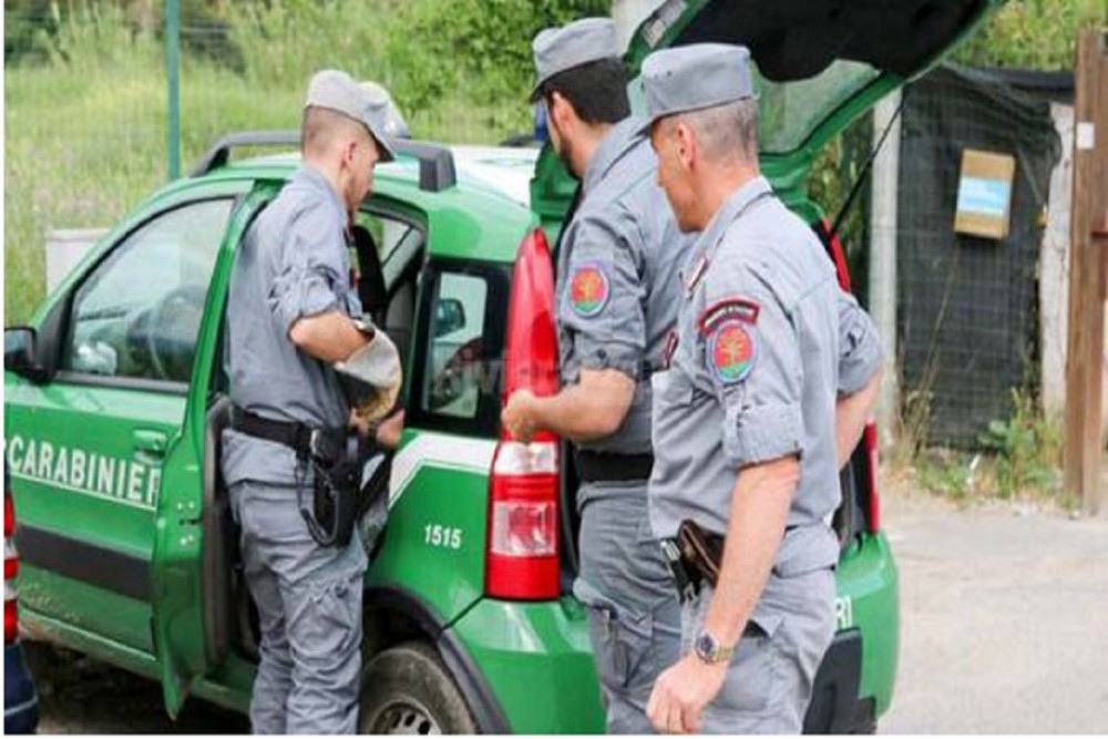 A CACCIA SENZA PORTO D'ARMI E CON FUCILE ARTIGIANALE: ARRESTATO DAI CARABINIERI FORESTALE