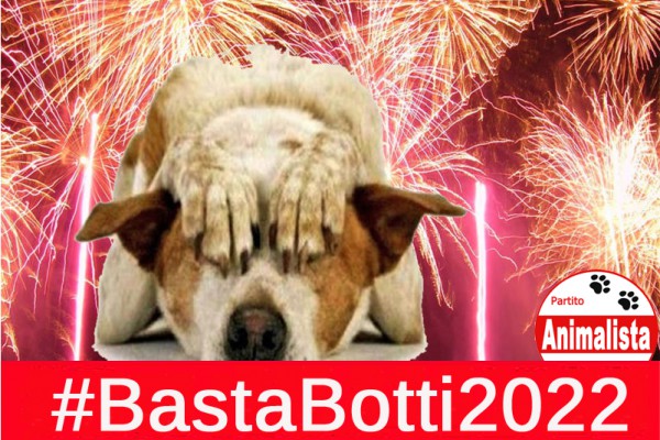 “Basta Botti 2022”: il Partito Animalista Italiano invita Prefetture e Comuni a vietare botti, petardi, mortaretti in questo fine anno