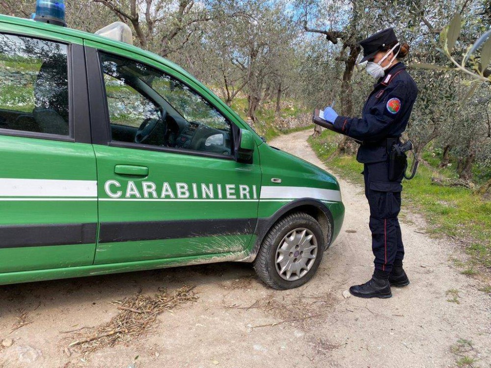 Abusivismo edilizio alle pendici del Vesuvio: denuncia dei Carabinieri Forestali